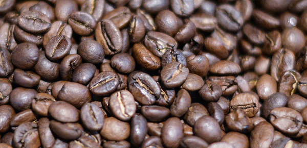 Kaffee­maschinen bei Gehringer Elektrotechnik GmbH in Rothenburg